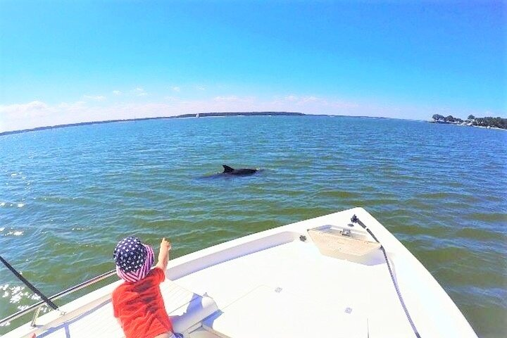 Private Hilton Head Dolphin Tour with Waterfront Dining Stop  - Photo 1 of 8